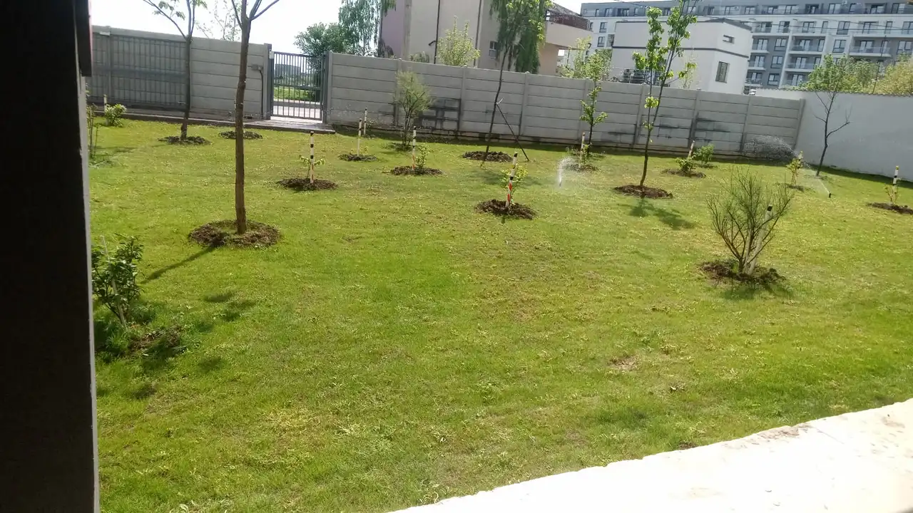 Tratamentul Gazonului cu Soluții Speciale: Ghid Complet pentru un Gazon Sănătos și Verde