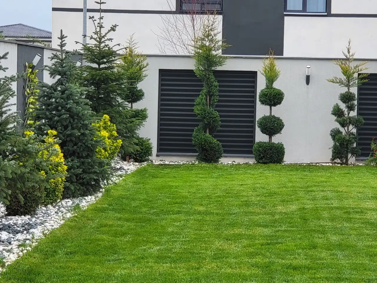 O gradina de vis (gazon + plantare)
